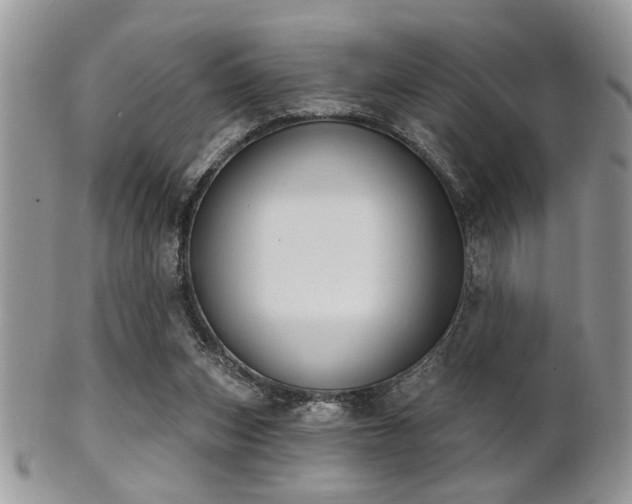 X0000102240159200807251307