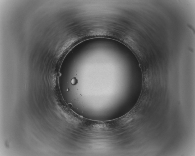 X0000102240160200807251307