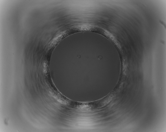 X0000102240161200807251307