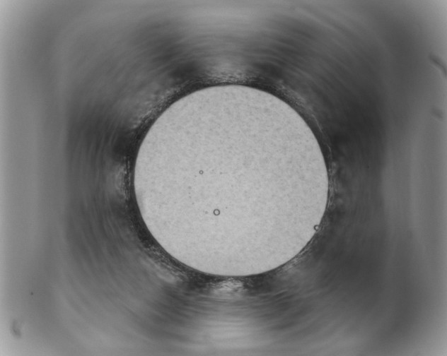 X0000102240162200807251307