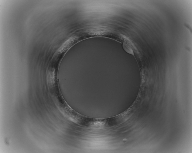 X0000102240163200807251307