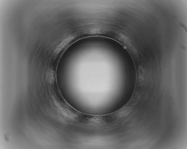 X0000102240164200807251307