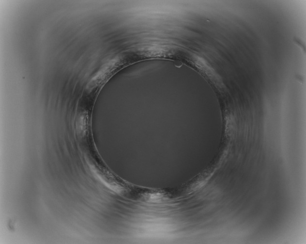 X0000102240165200807251307