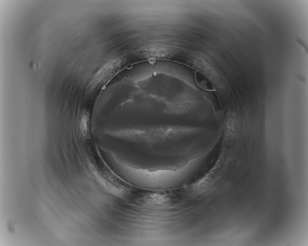 X0000102240166200807251307