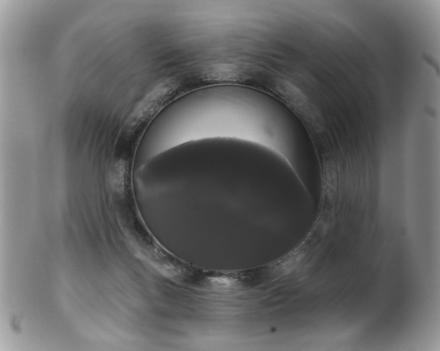 X0000102240167200807251307