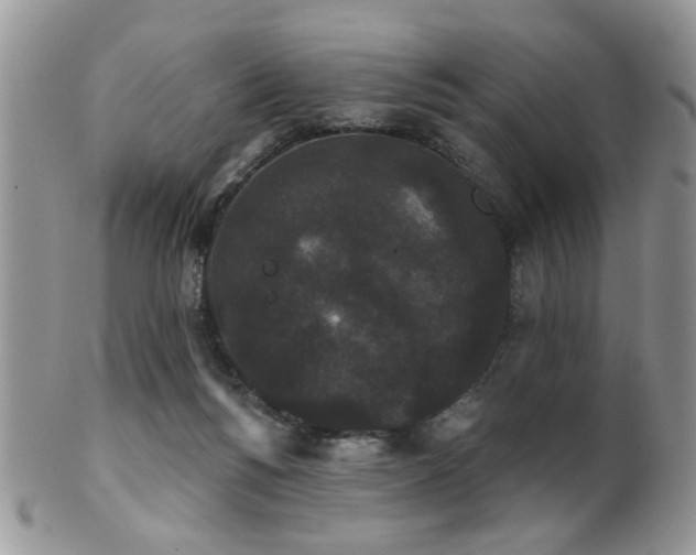 X0000102240168200807251307