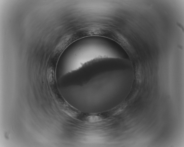 X0000102240169200807251307