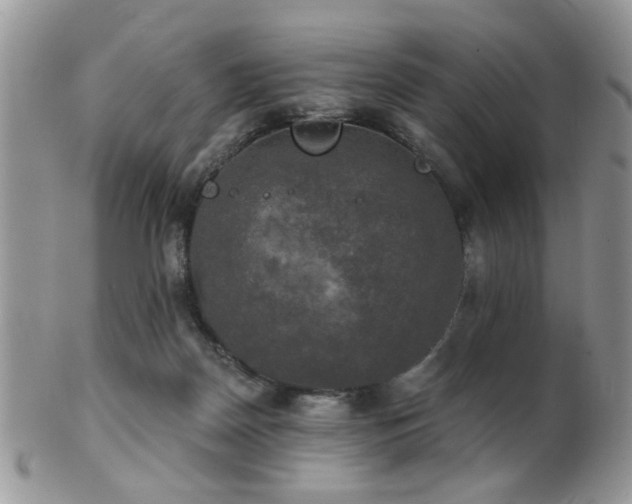 X0000102240170200807251307