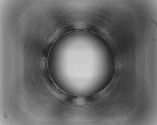 X0000102240171200807251307