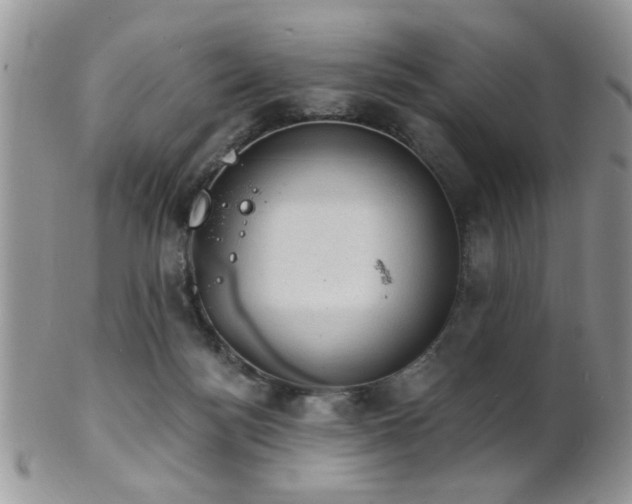 X0000102240172200807251307