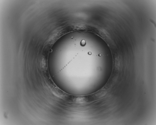 X0000102240173200807251307