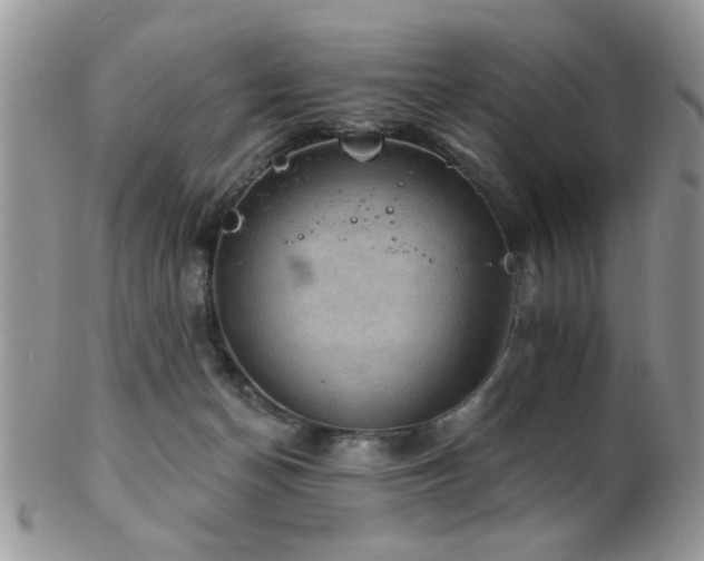 X0000102240174200807251307