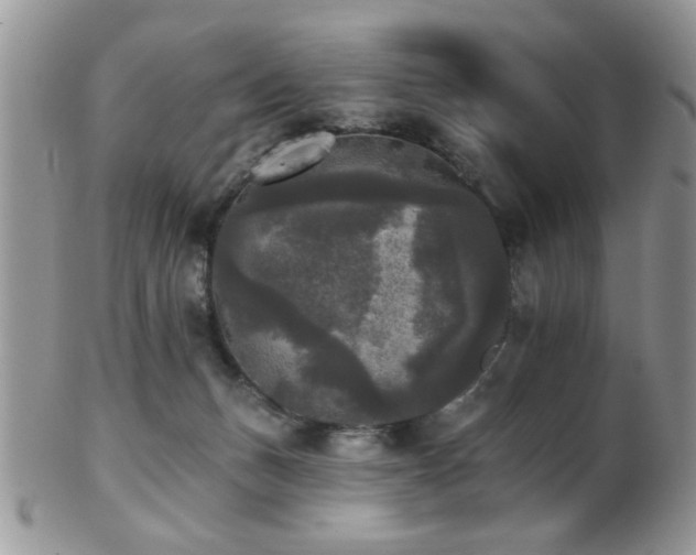 X0000102240175200807251308