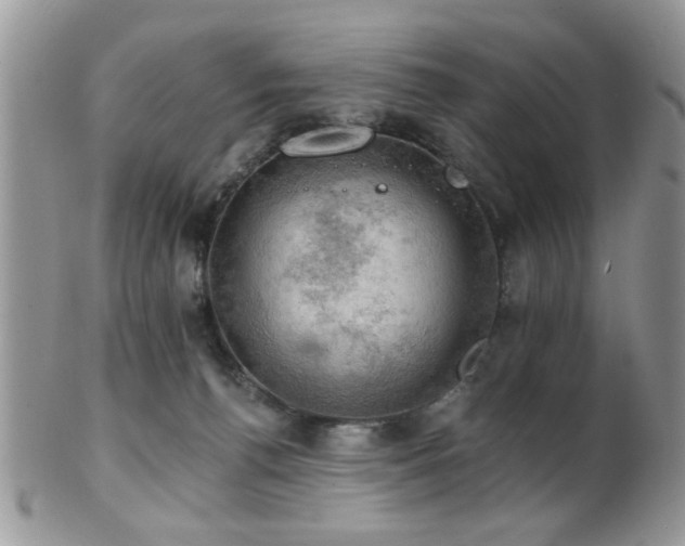 X0000102240176200807251308