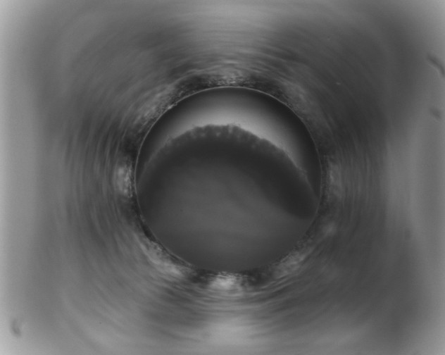 X0000102240177200807251308