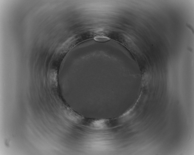 X0000102240178200807251308