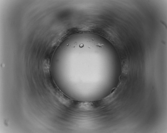 X0000102240179200807251308