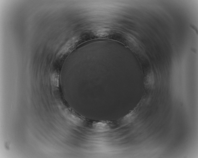 X0000102240180200807251308