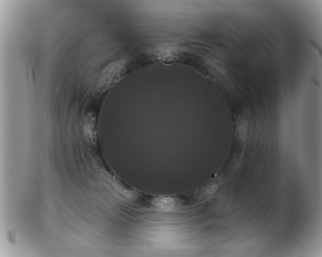 X0000102240181200807251308