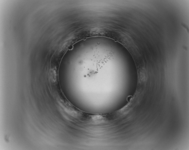 X0000102240183200807251308