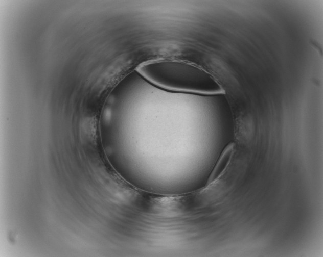 X0000102240184200807251308