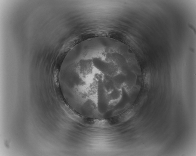 X0000102240185200807251308