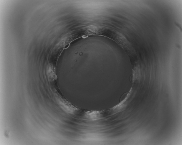 X0000102240186200807251308