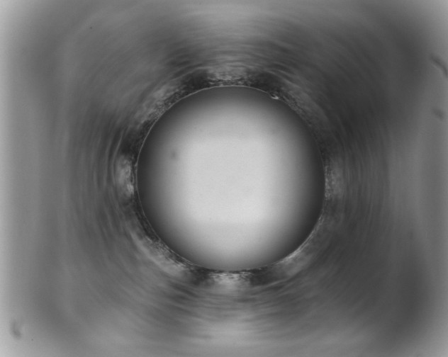 X0000102240187200807251308