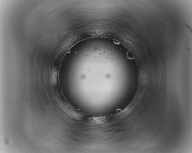 X0000102240188200807251308