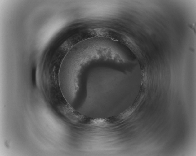 X0000102240189200807251308