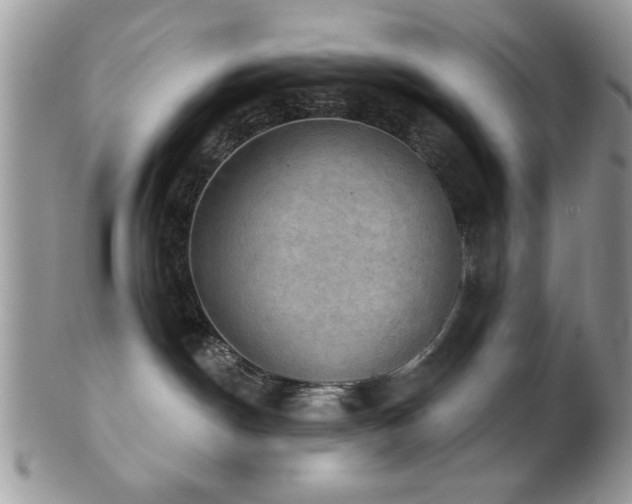 X0000102240190200807251308