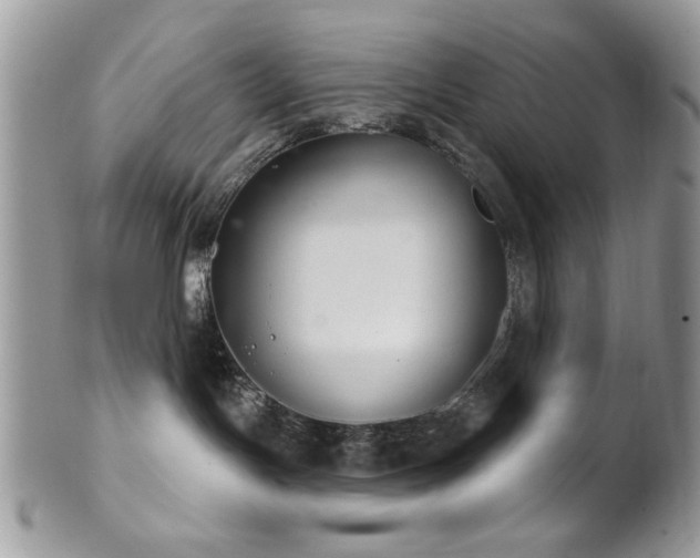 X0000102240191200807251308