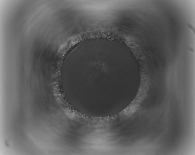 X0000102240192200807251308