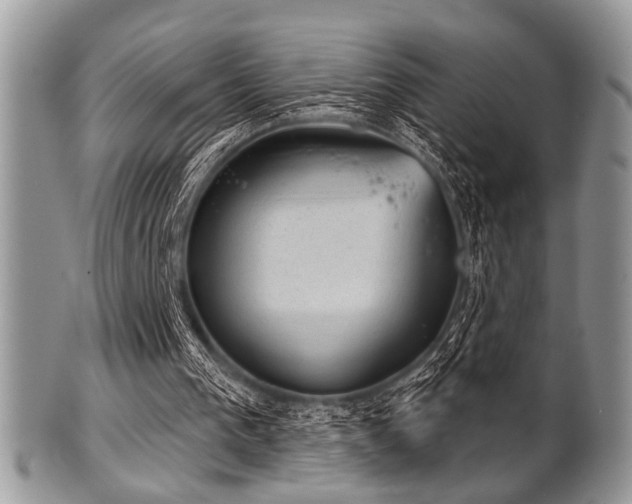 X0000102240193200807251307