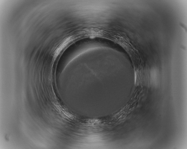 X0000102240195200807251307