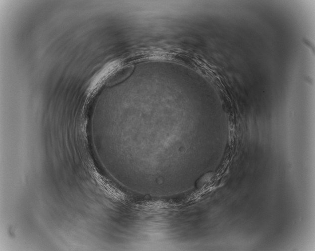 X0000102240197200807251307