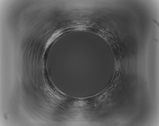 X0000102240198200807251307