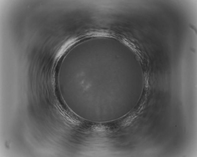 X0000102240199200807251307