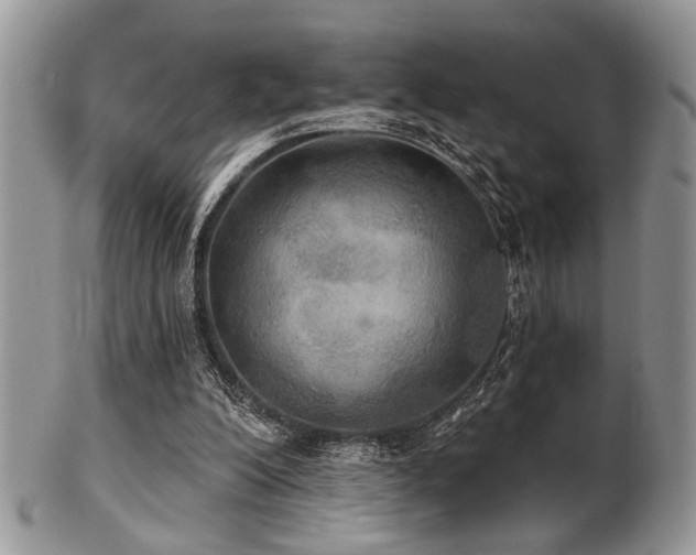 X0000102240200200807251307