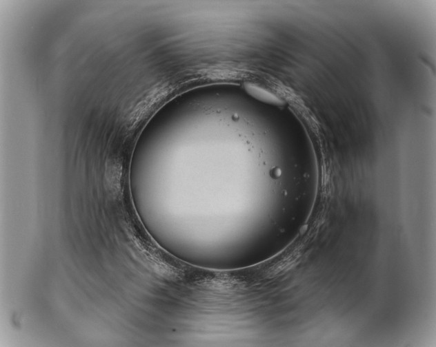 X0000102240201200807251307