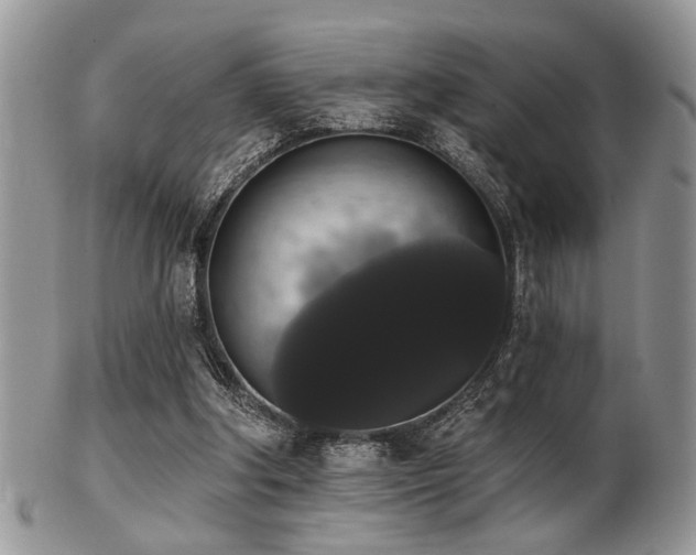 X0000102240202200807251307