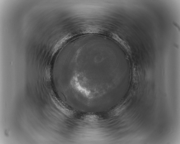 X0000102240203200807251307