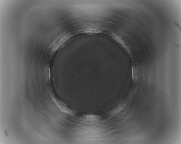 X0000102240205200807251307