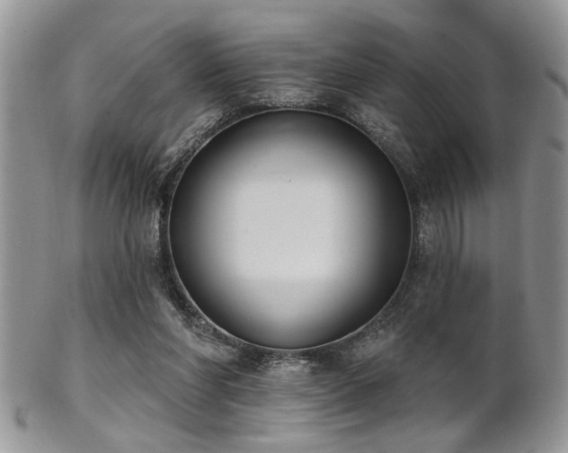 X0000102240206200807251307