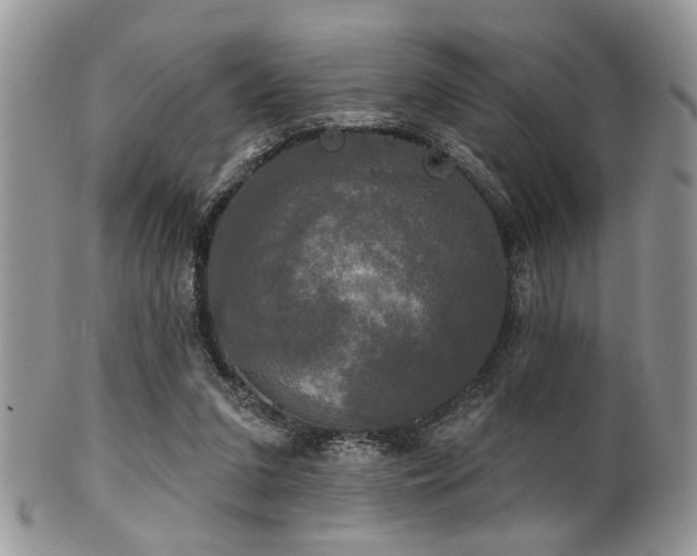 X0000102240207200807251307