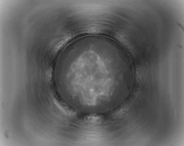 X0000102240208200807251307