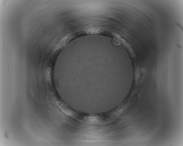 X0000102240209200807251307