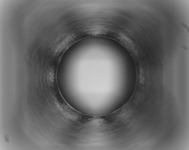 X0000102240210200807251307