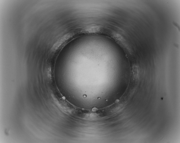 X0000102240212200807251307