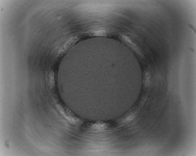 X0000102240213200807251307